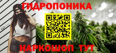кокс Гусиноозёрск