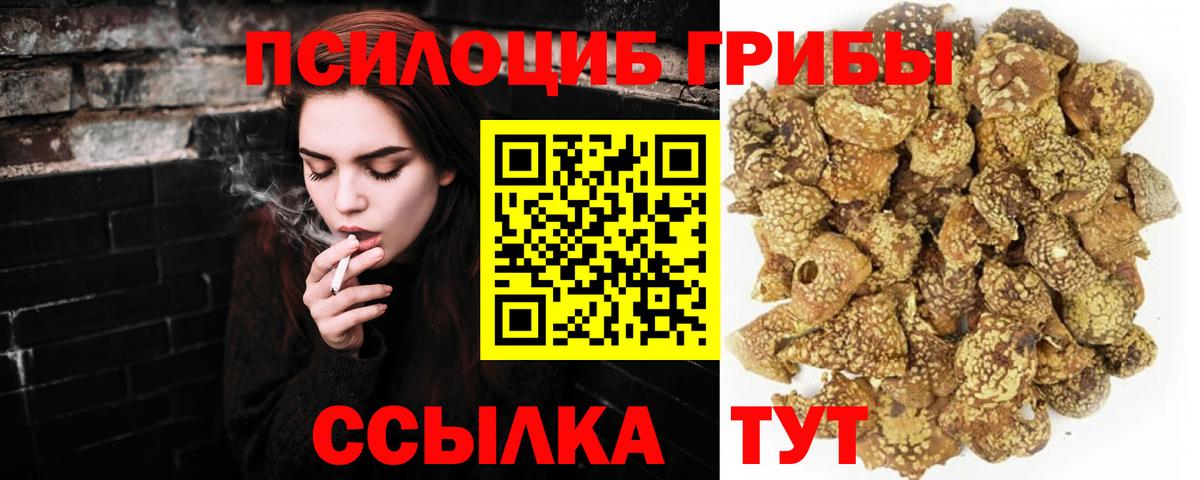 Малгобек  Псилоцибиновые грибы ЛСД  Вход с VPN 